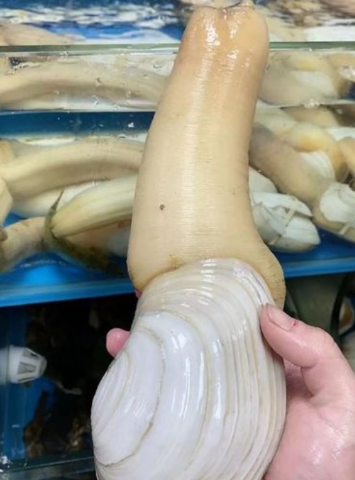 微信截图_20250425143516.png