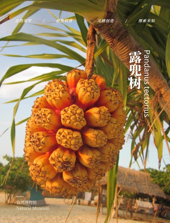 微信截图_20250526143717.png