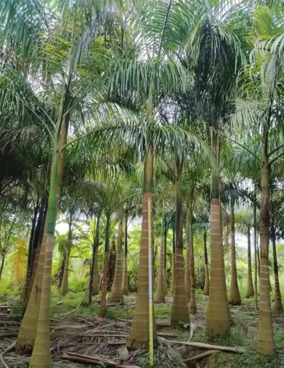 微信截图_20250526144844.png