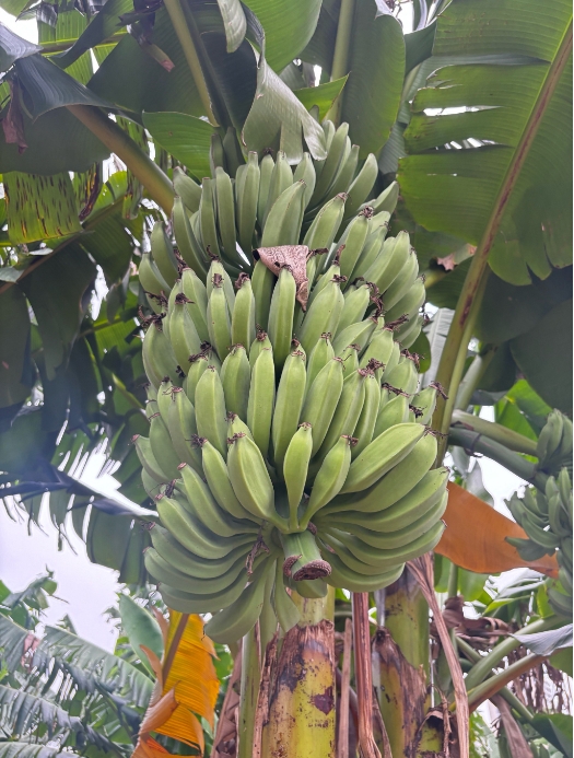 微信截图_20250618155119.png
