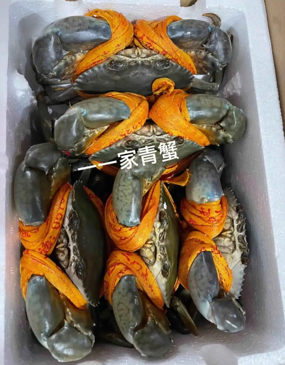 微信截图_20250711153124.png